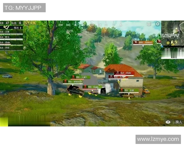 和平精英耐力排行榜揭晓RNG战队荣登第五名引发热议