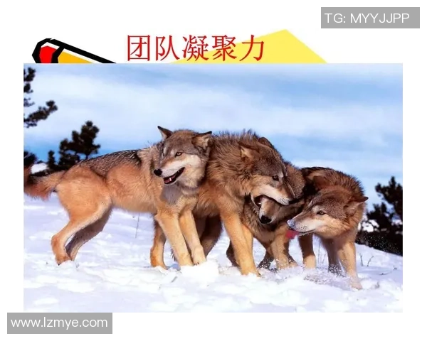 杭州乒乓球队心理素质变革引发热议助力竞技水平提升与团队凝聚力增强 杭州乒乓球队心理素质变革引发热议助力竞技水平提升与团队凝聚力增强