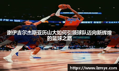 南宫NG·28