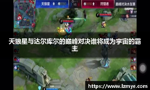 南宫NG·28